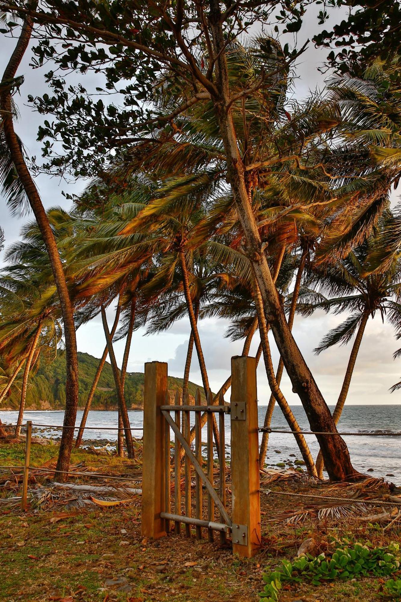 Maison D'O Baie De Saint-Jacques, Sur Une Plage Sauvage Sainte-Marie Zewnętrze zdjęcie