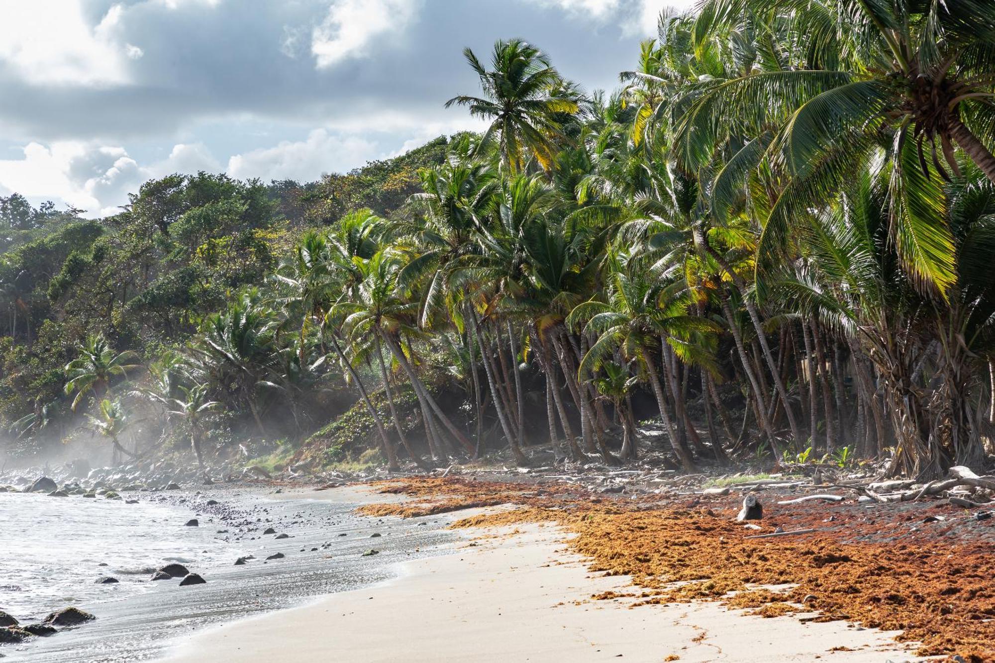 Maison D'O Baie De Saint-Jacques, Sur Une Plage Sauvage Sainte-Marie Zewnętrze zdjęcie